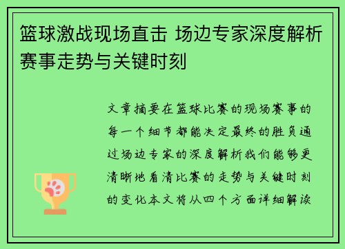 篮球激战现场直击 场边专家深度解析赛事走势与关键时刻